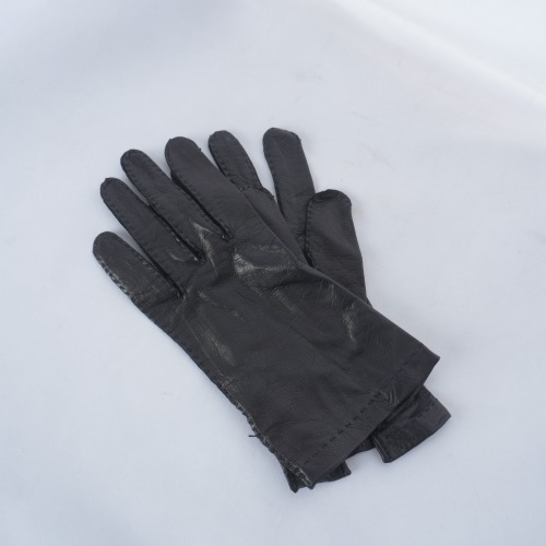 CAPRETTO leather glove